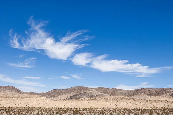 ara_day6_desert_03.27.2014_21