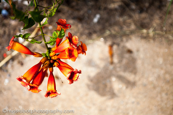 ara_day105_a__230
