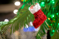12-13-25 Glass House Holiday Experience