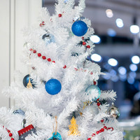 12-13-25-GlassHouse-robotphoto-16