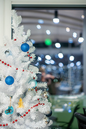 12-13-25-GlassHouse-robotphoto-17