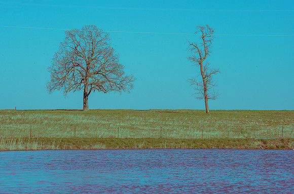 BOT01911-Pano