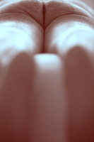 _A5A9534