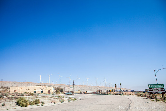 ARA_Day4_40