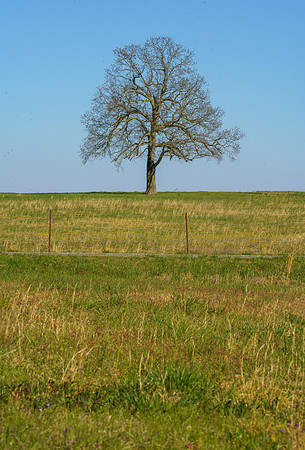 BOT01903-Pano