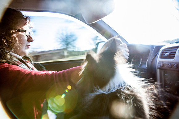mom_and_teddy_driving