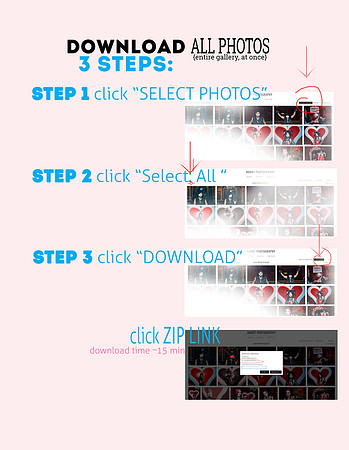 dl_instructions_zen