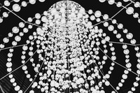 BOT00601