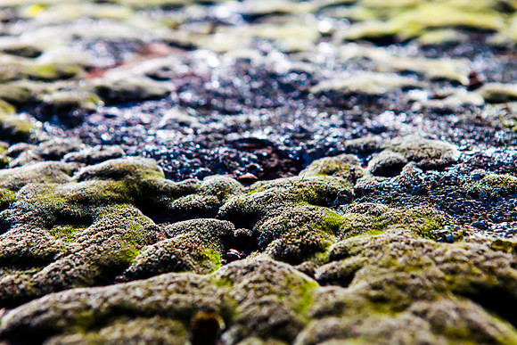 farmy_20121107_3787