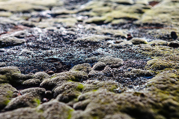 farmy_20121107_3788