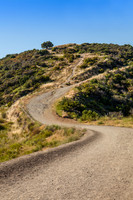 IMG_8726-Edit