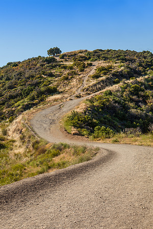 IMG_8726-Edit
