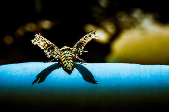 IMG_7024-Edit