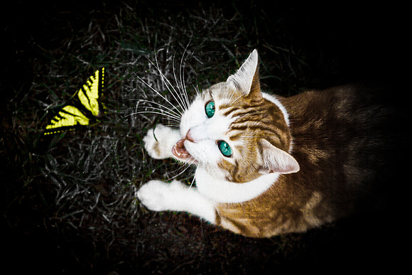 IMG_7039-Edit
