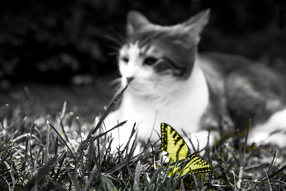 IMG_7051-Edit