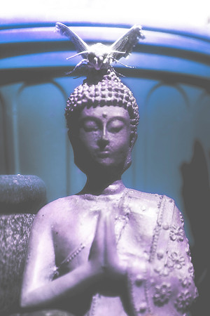 IMG_7127-Edit