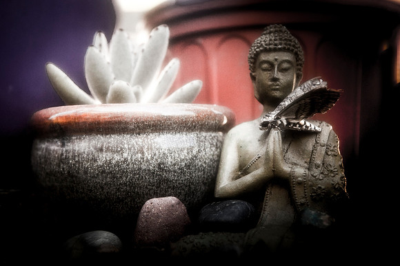 IMG_7216-Edit