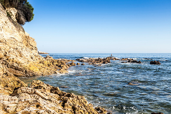 IMG_8307