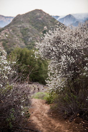 mountain_trail