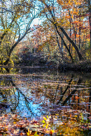 reflection_at_dustys_on_big_creek