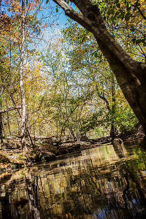 holly_branch_creek