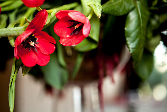 IMG_4892-Edit