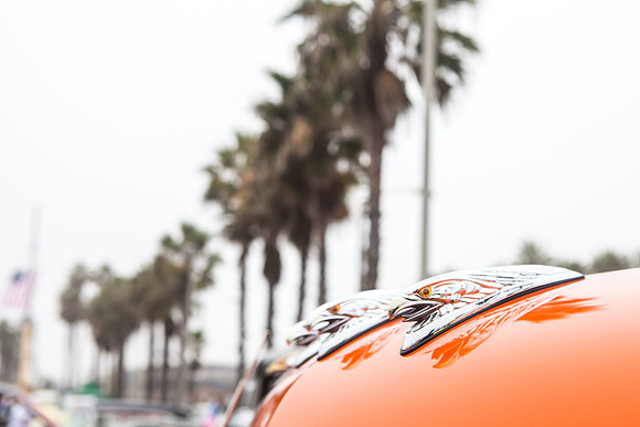 hb_vet_car_show_2014_170