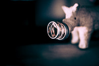 IMG_4822-Edit