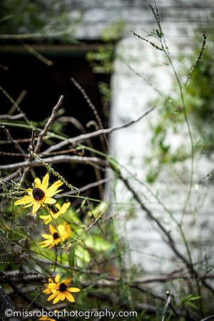 ara_day127_36