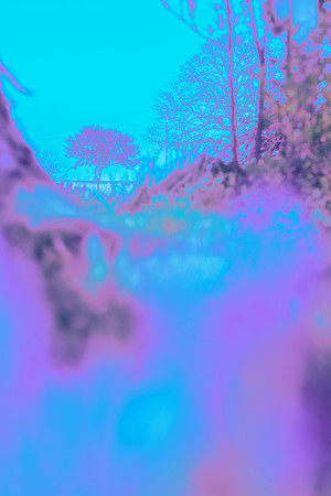 BOT01985