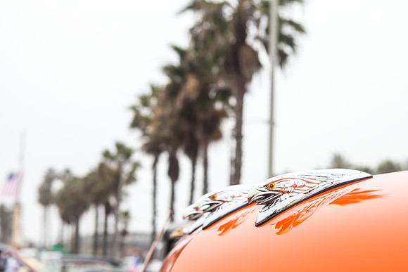hb_vet_car_show_2014_170