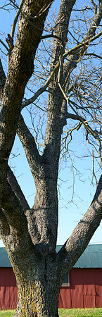 BOT01927-Pano