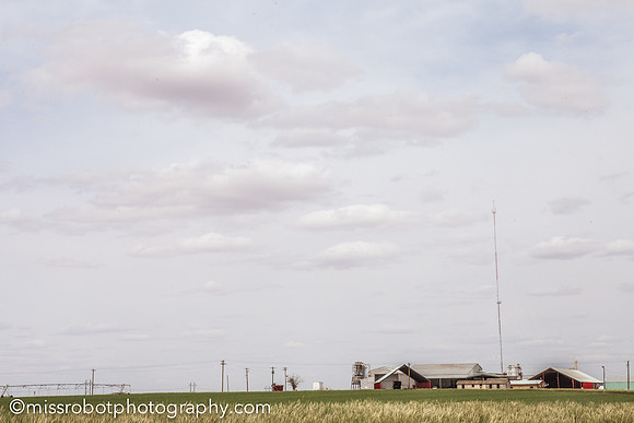 ara_day41_37