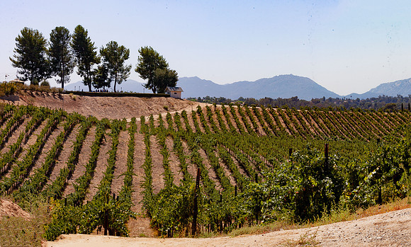 IMG_1249-Pano