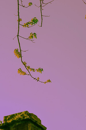 BOT02005