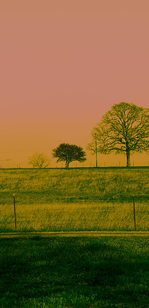 BOT02007-Pano