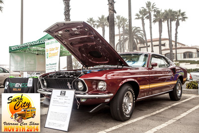 hb_vet_car_show_2014_39