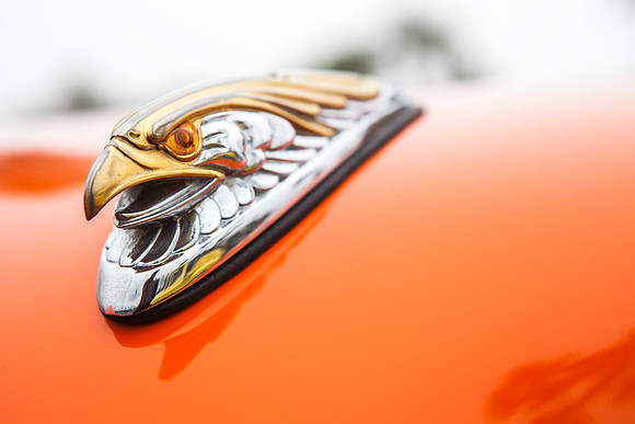 hb_vet_car_show_2014_171