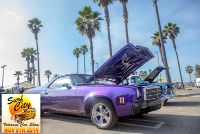 hb_vet_car_show_2014_127