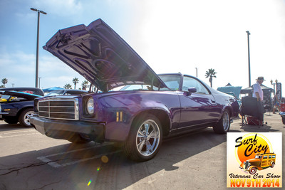 hb_vet_car_show_2014_126