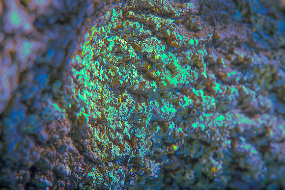 BOT01972