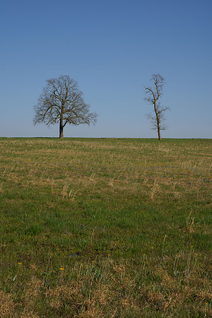 BOT01884
