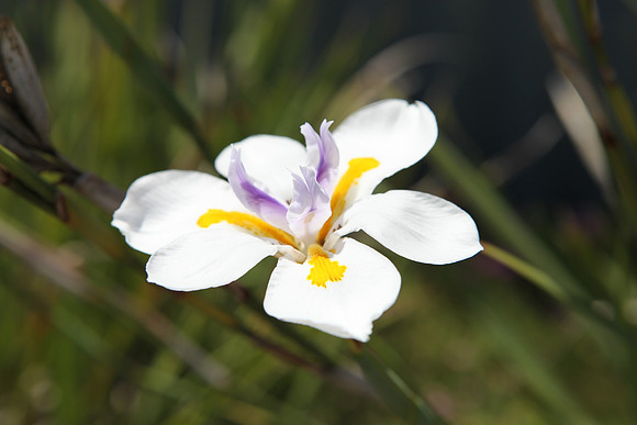 IMG_0048 (1)