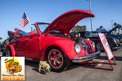 hb_vet_car_show_2014_207