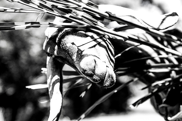IMG_1367