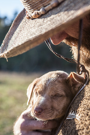 Dusty_and_Buckshot