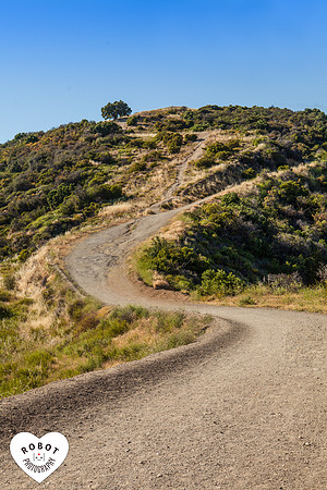 IMG_8726-Edit