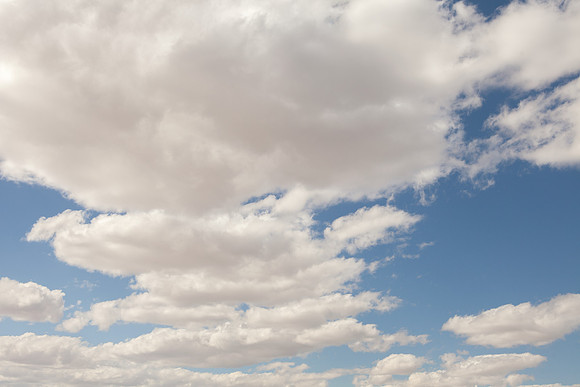 ara_day6_desert_03.27.2014_54