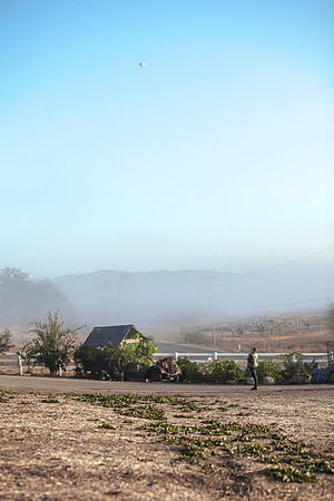 IMG_8535