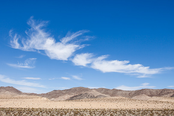 ara_day6_desert_03.27.2014_21